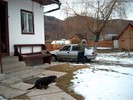 C-am frig, al naibii ... !!!