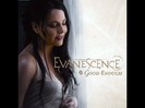 evanescence-028