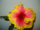 DSC01015