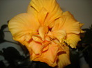 DSC01008
