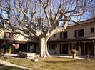 plane-tree-house