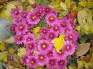 DSC03708