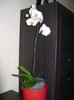 11nov2011