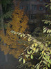 Photo 003