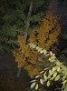 Photo 004