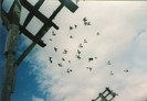 img063