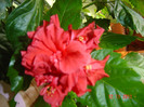 poze 353