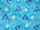 Cinderella%20Blue%20on%20Blue