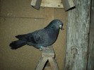 DSC01282