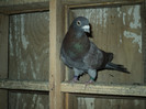 DSC01304