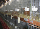 knittel-efer- 041