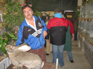 ma pozeaza campionul european