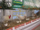 knittel-efer- 189