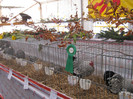 knittel-efer- 191