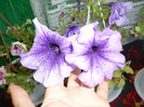 P1150198
