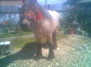61828_Imag000