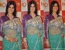 Ayesha_Takia_Full_Sleeves_Sari_Blouse