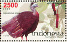 indonesia 2