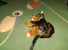 noiembrie_ 016
