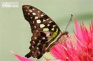 images (19)