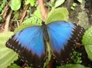 images (20)