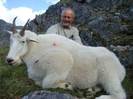 Canadian Mountain Goat _ 960 de euro