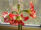 DSCN2177