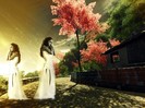Anahi Wallpaper (1) (6)