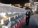 knittel-efer- 087