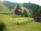 P1060141
