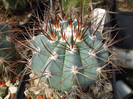 DSCF9052