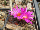 DSCF9056