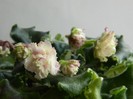 DSCN4189