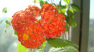 DSC04635