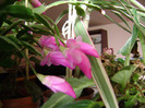DSC08269
