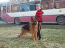 SAM_1862