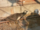 SAM_1906