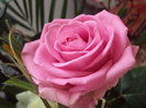 16526701_EZCETHCWV