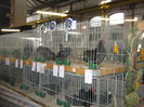 knittel-efer- 089