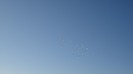 DSC00341