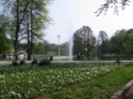 parc-craiova