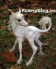 inorog(pui)Snowy-adoptat de PrieteneForever