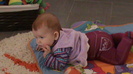 DSC03540