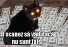 poze-amuzante-poza-amuzanta-pisica-scaneaza-banii-pentru-a-dejuca-o-eventuala-spalare-de-bani