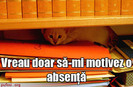 poze-amuzante-poza-amuzanta-pisica-vrea-sa-isi-motiveze-absentele-la-scoala