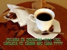 49360522_QSRVCTPTH