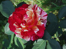 Copy of DSCF5696