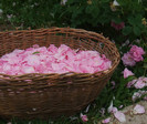 DSCF2135
