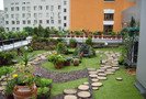 rooftop-garden-green-roof-design-house-exterior-1