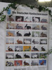 3-4 decembrie expo ungaria 140 uriasi